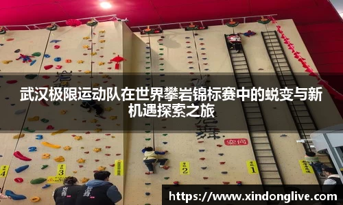 武汉极限运动队在世界攀岩锦标赛中的蜕变与新机遇探索之旅